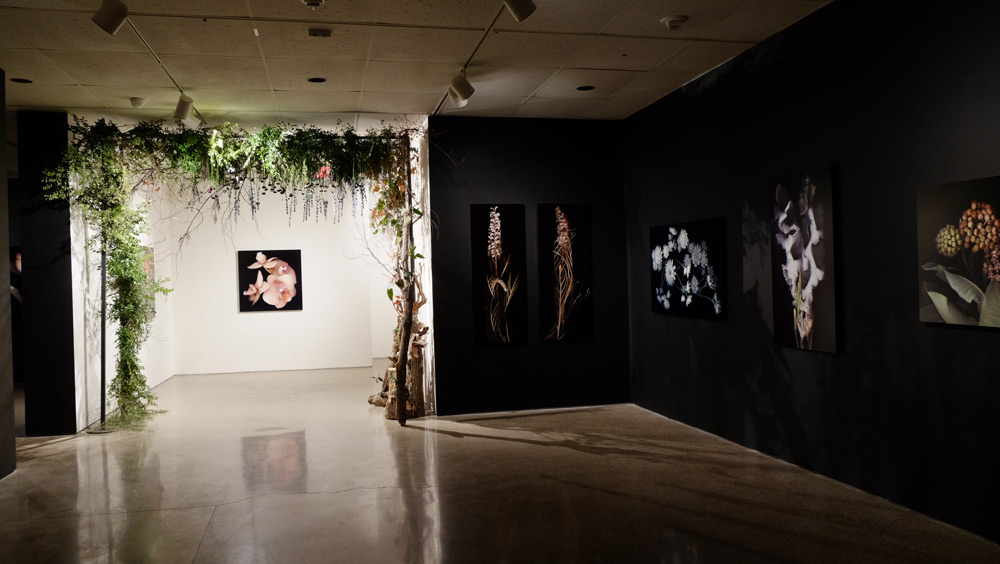 Hiberna Floris Exhibition 3