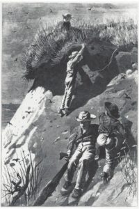 Raid on a Sand-Swallow Colony - How Many Eggs-image