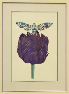 First Tulip and Hawk Moth-image